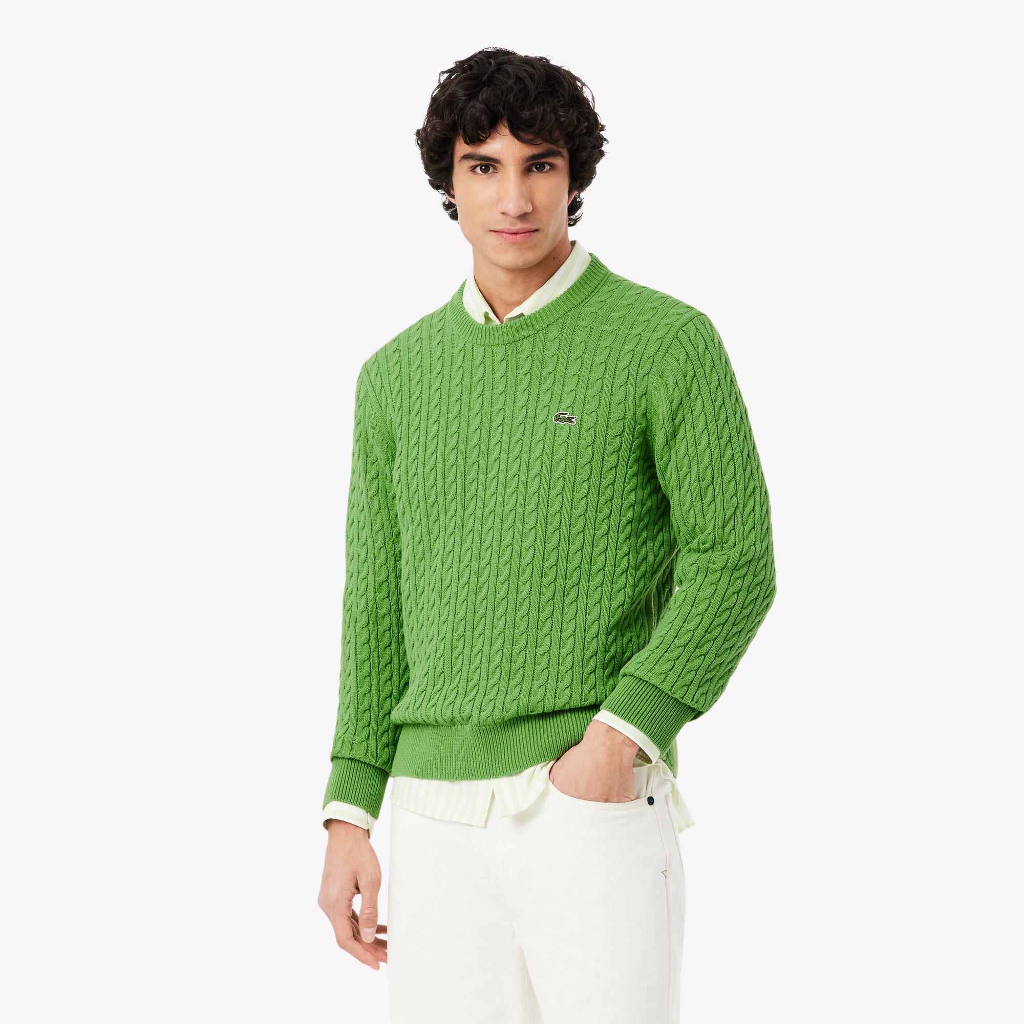 Men's Cable Knit Cotton Sweater - Vert / Blanc