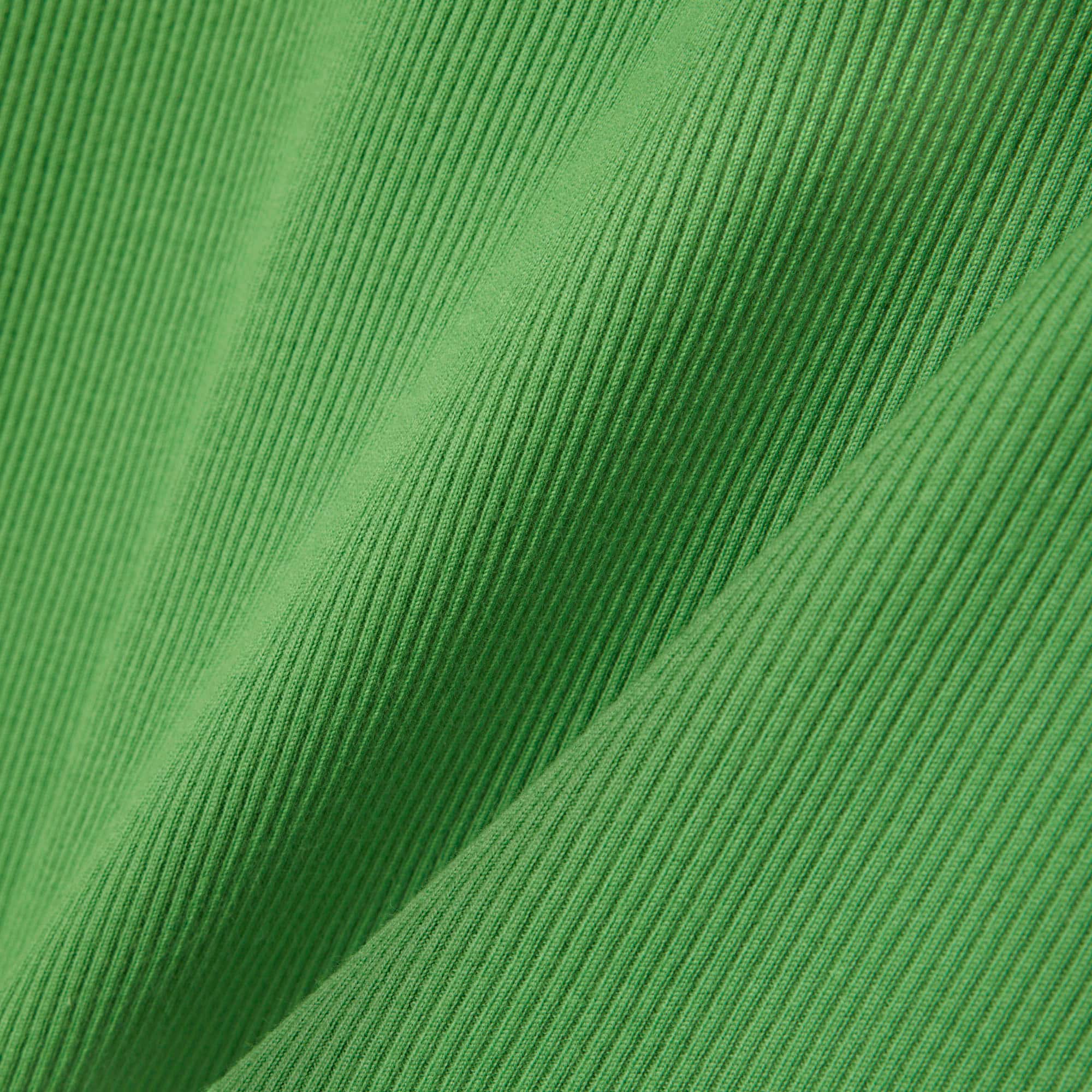 Women's Slim Fit L.12.D Ribbed Cotton Polo - Vert