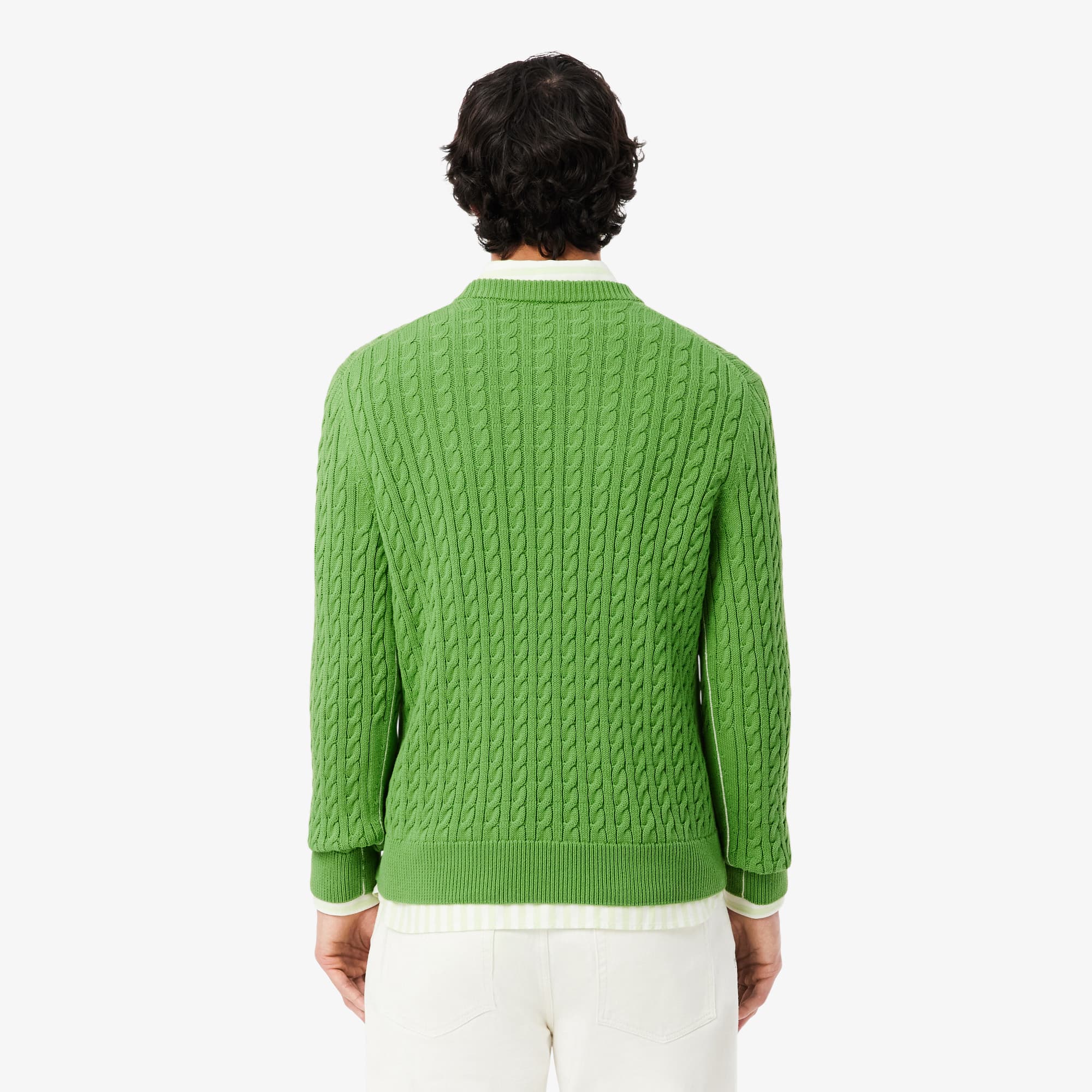 Men's Cable Knit Cotton Sweater - Vert / Blanc