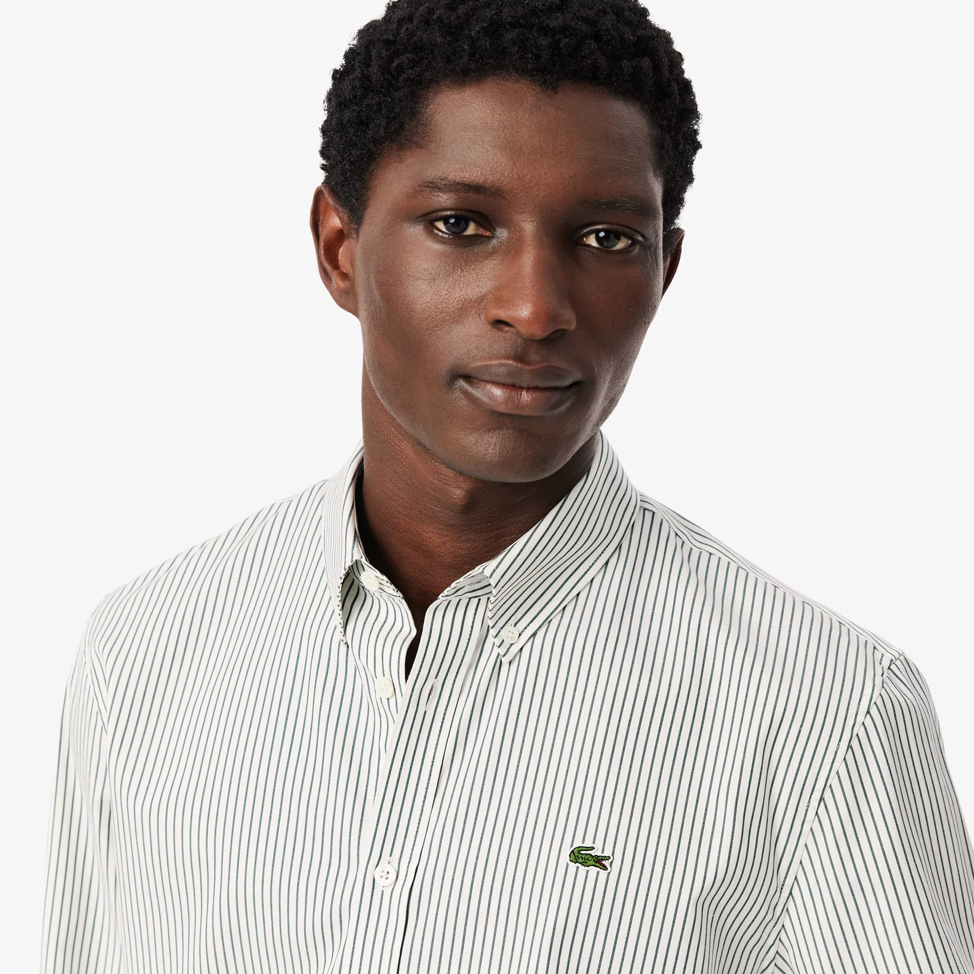 Men's Regular Fit Striped Pinpoint Shirt - White / Green