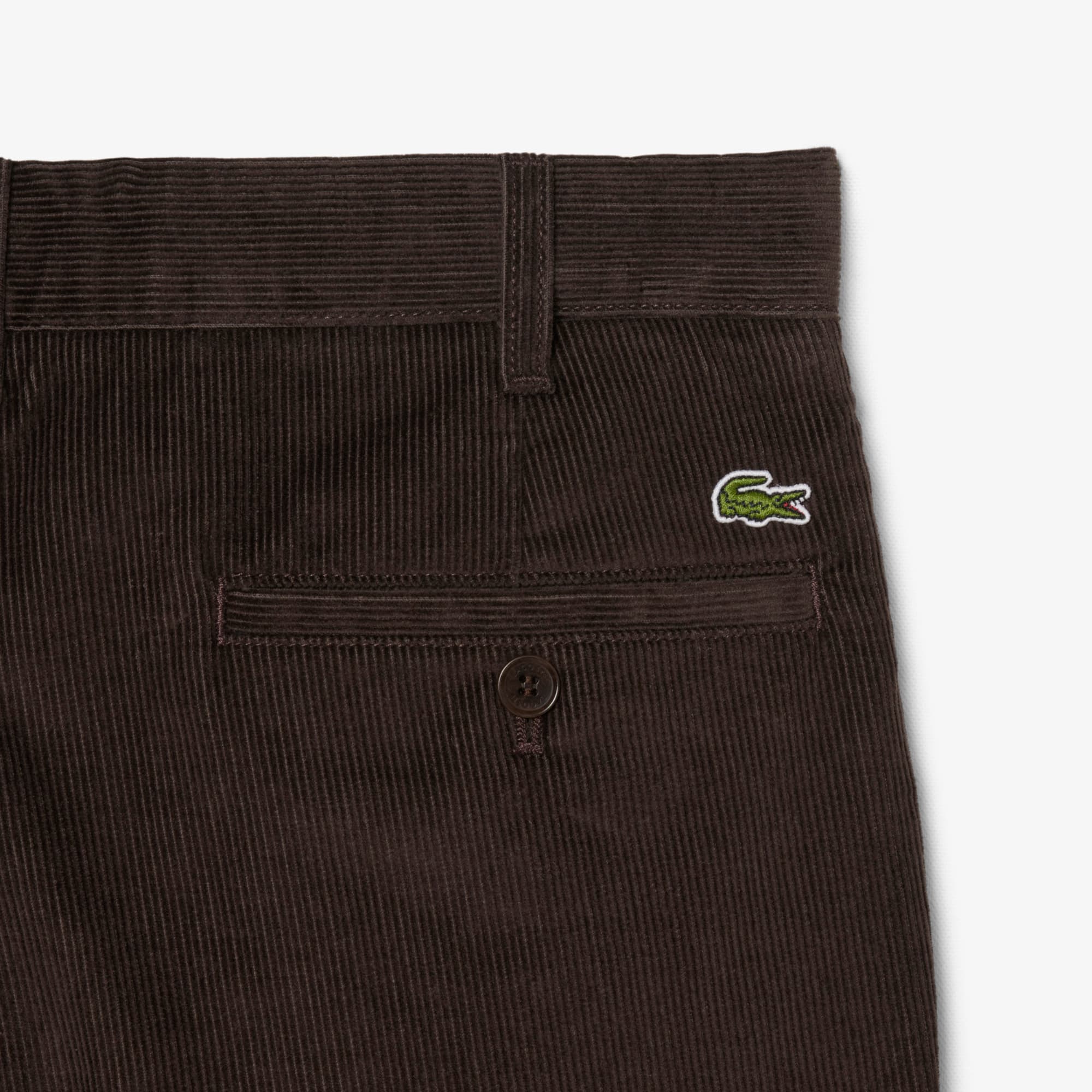 Men's Regular Fit Corduroy Chino Pants - Brown