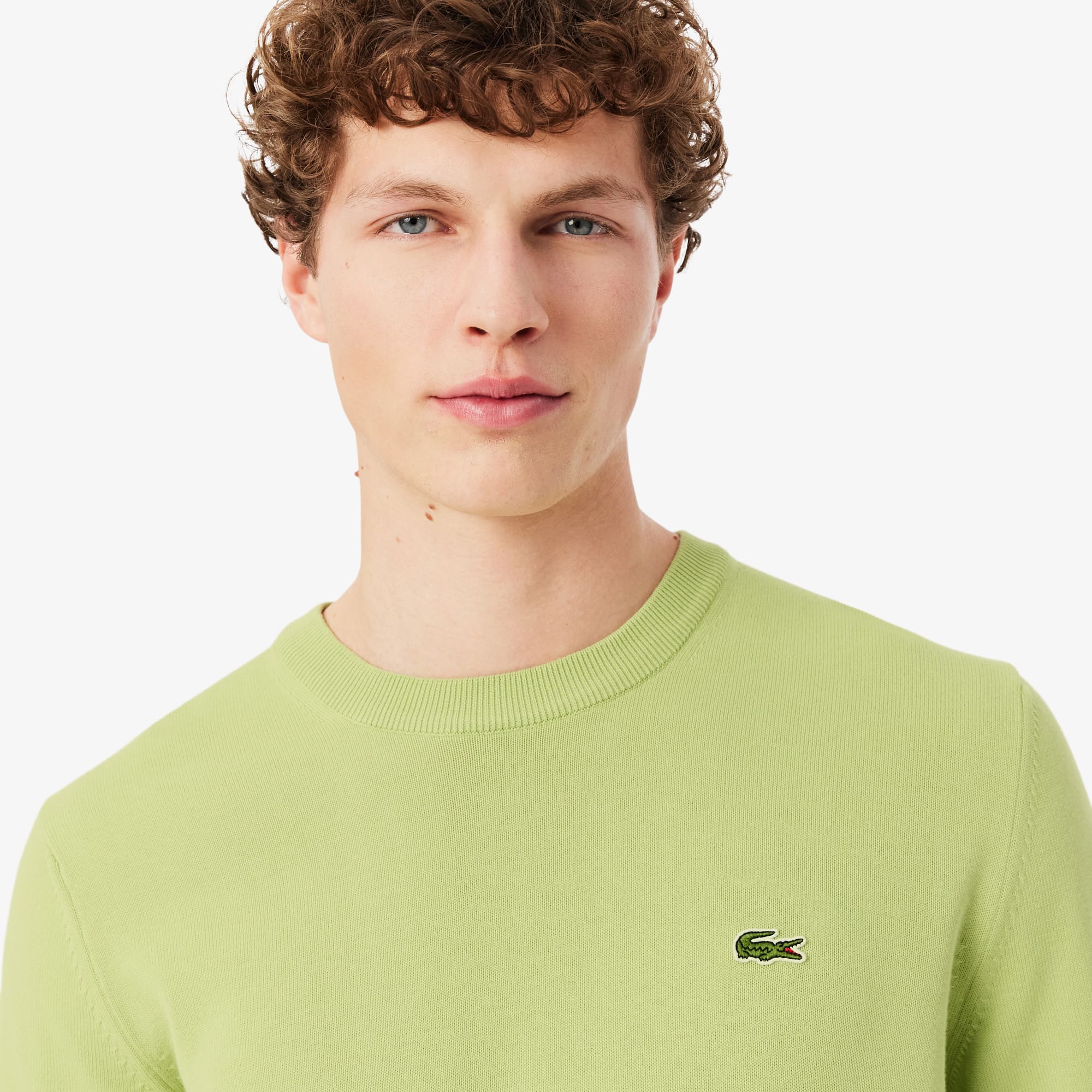 Men's Crew Neck Cotton Sweater - Green
