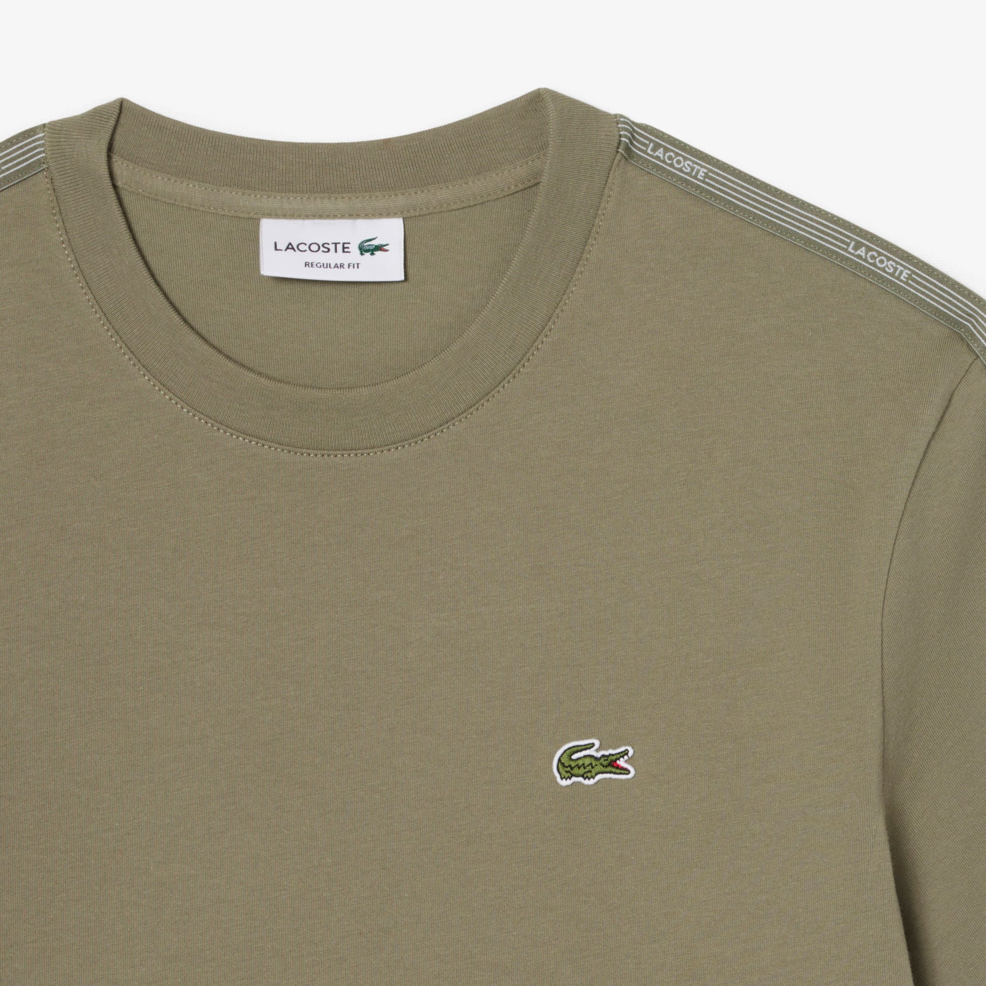 Branded Stripe Band T-Shirt - Khaki Green