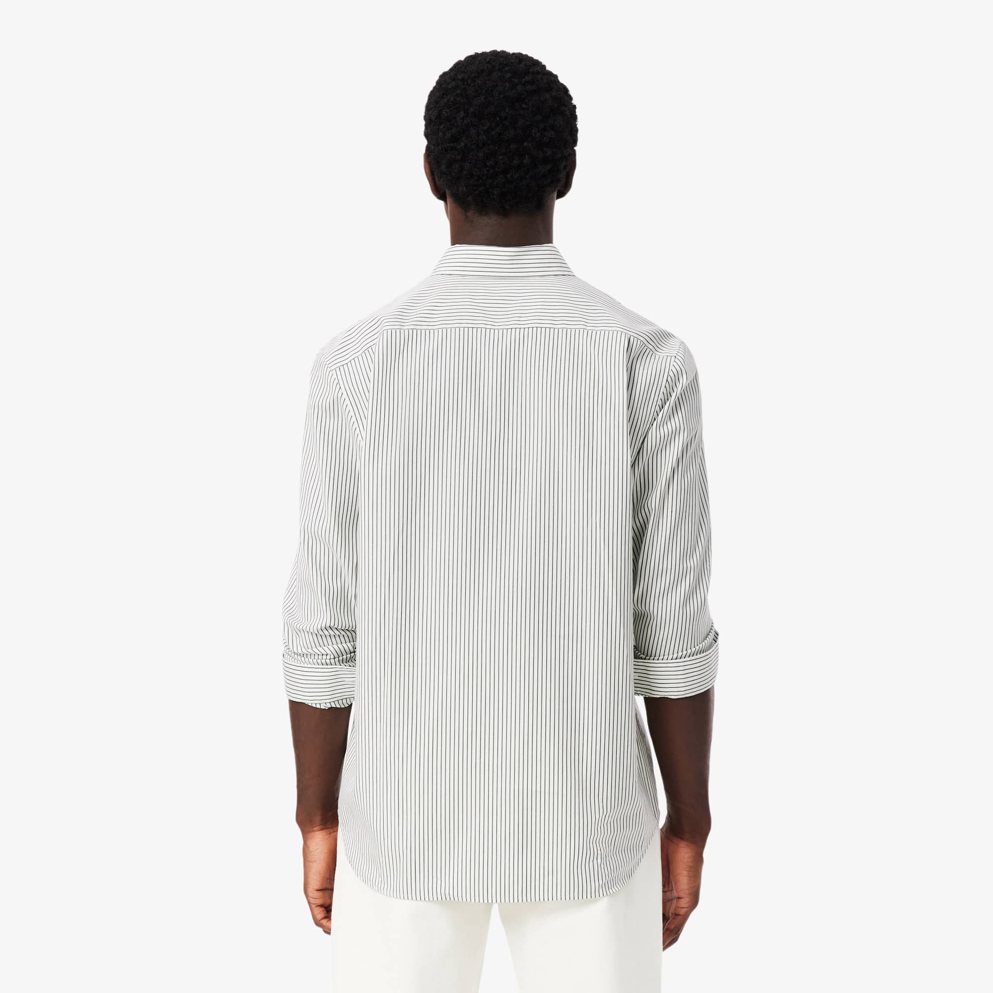 Men's Regular Fit Striped Pinpoint Shirt - White / Green