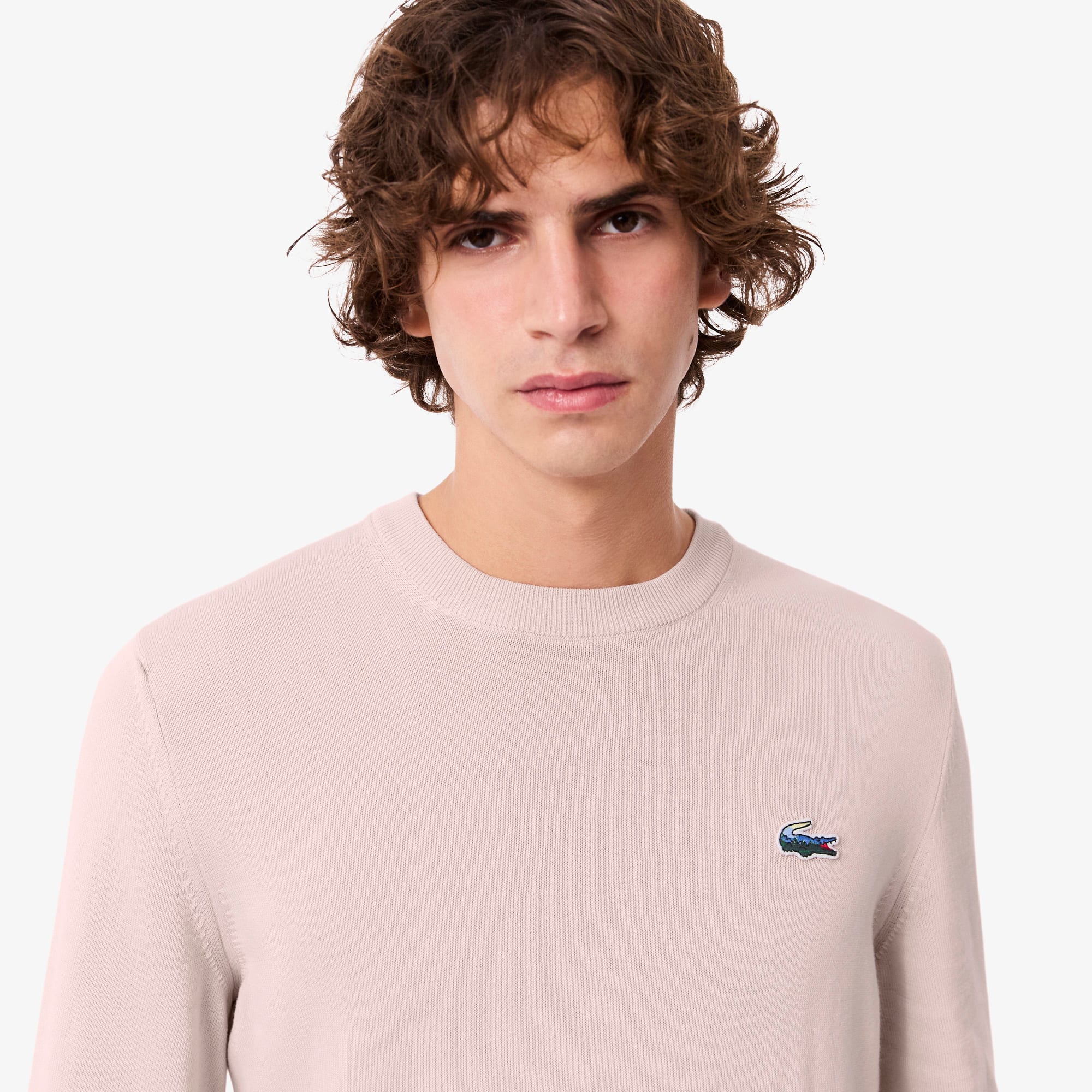 Men's Cotton Landscape Sweater - Light Pink