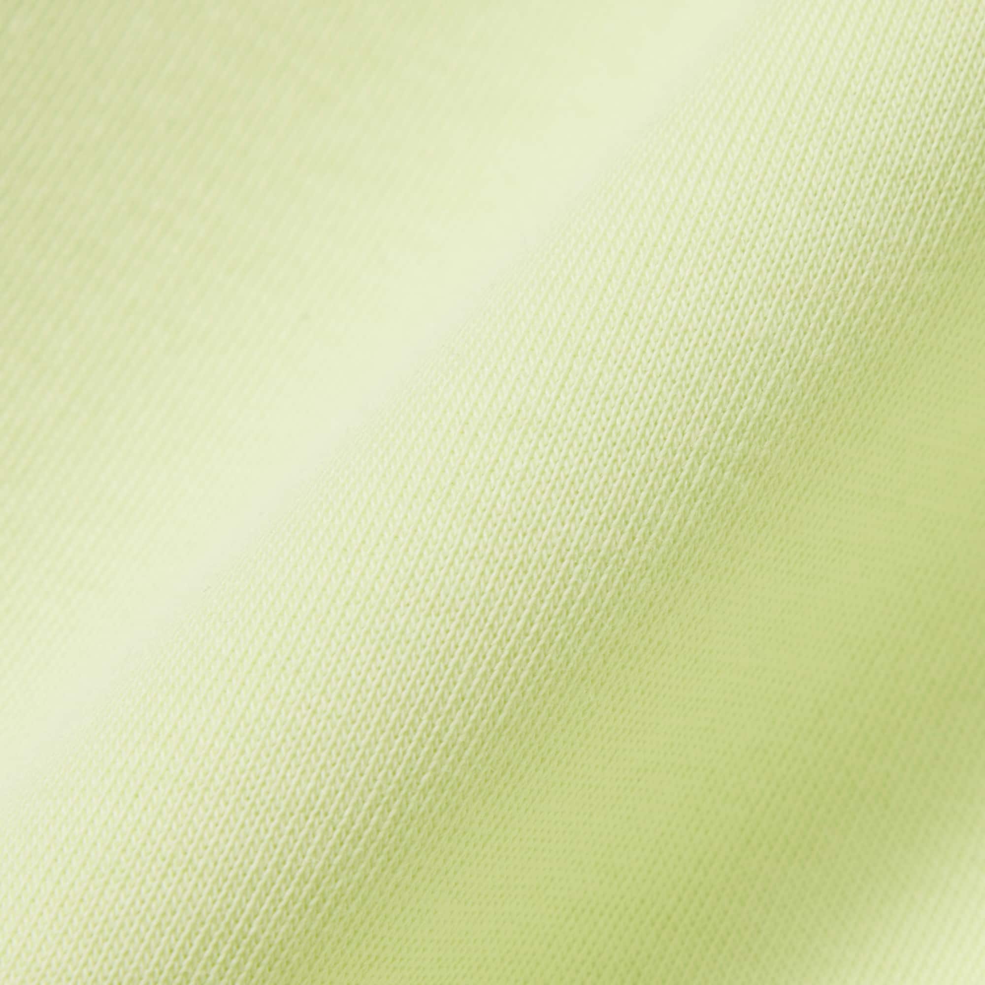Double Face Jersey Shorts - Green