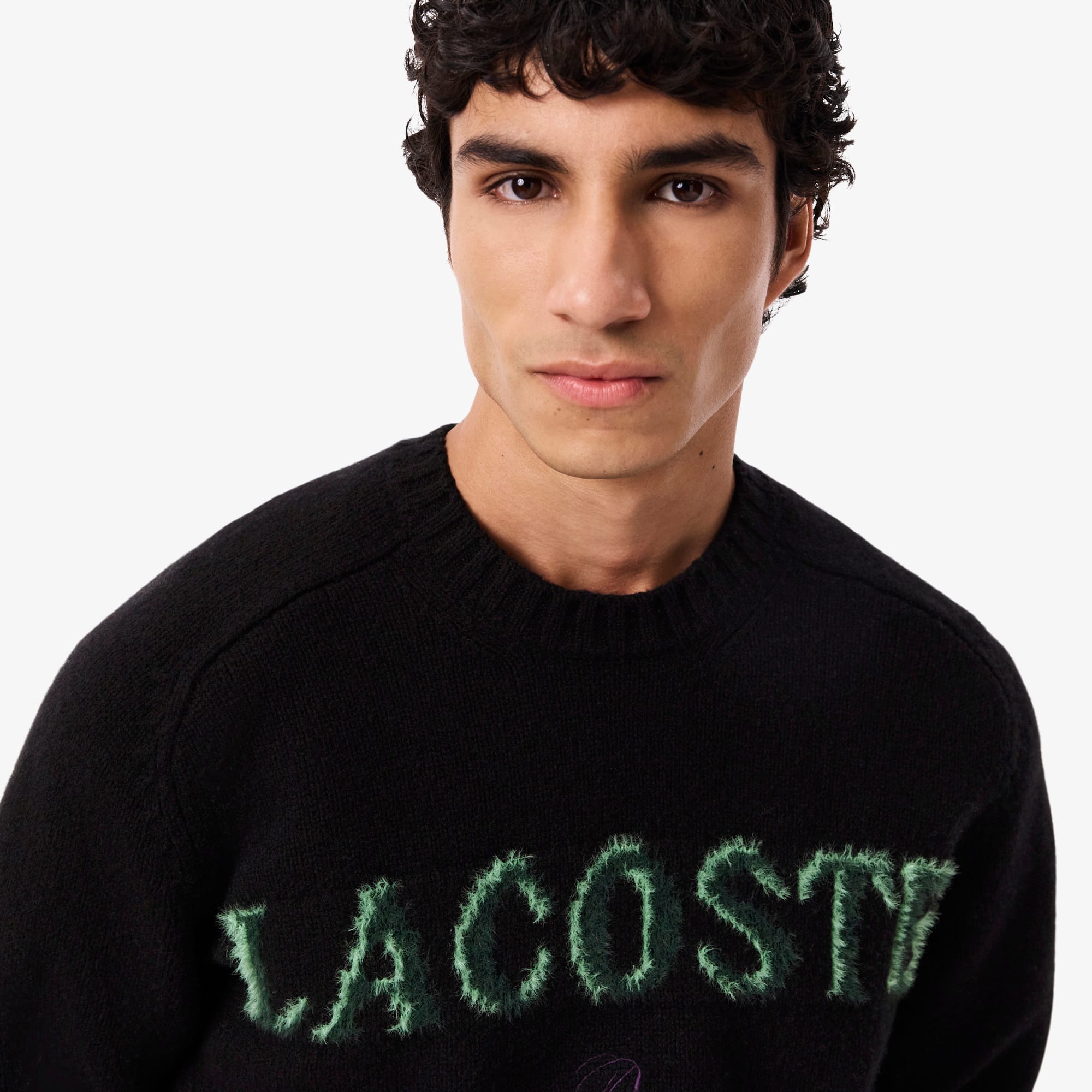 Men's Intarsia Branded Wool Sweater - Black / Green