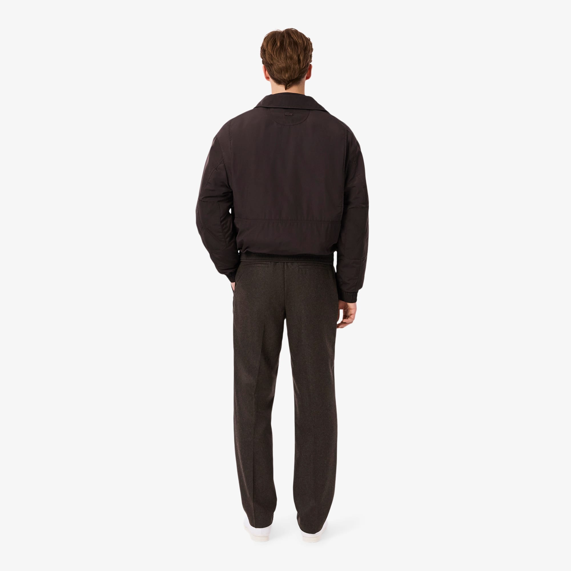 Men's Straight Fit Chevron Wool Pants - Brown